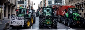 Governo Italiano e Commissione Europea mortificano gli agricoltori!